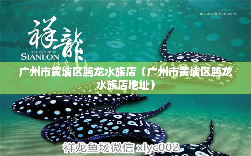 廣州市黃埔區(qū)騰龍水族店（廣州市黃埔區(qū)騰龍水族店地址）