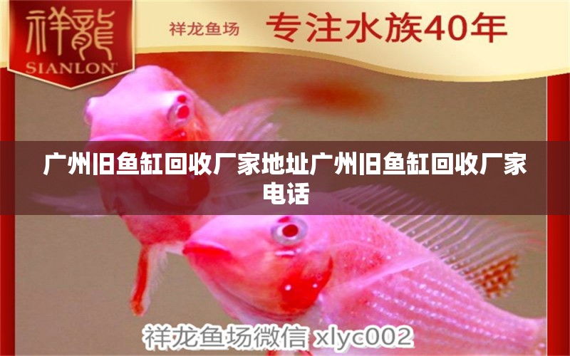 廣州舊魚缸回收廠家地址廣州舊魚缸回收廠家電話 泰龐海蓮魚