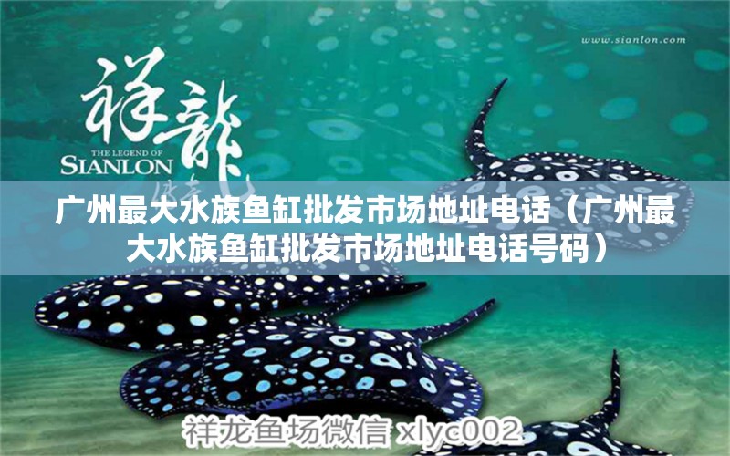 廣州最大水族魚(yú)缸批發(fā)市場(chǎng)地址電話（廣州最大水族魚(yú)缸批發(fā)市場(chǎng)地址電話號(hào)碼）