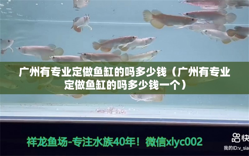 廣州有專業(yè)定做魚缸的嗎多少錢（廣州有專業(yè)定做魚缸的嗎多少錢一個） 祥龍水族醫(yī)院