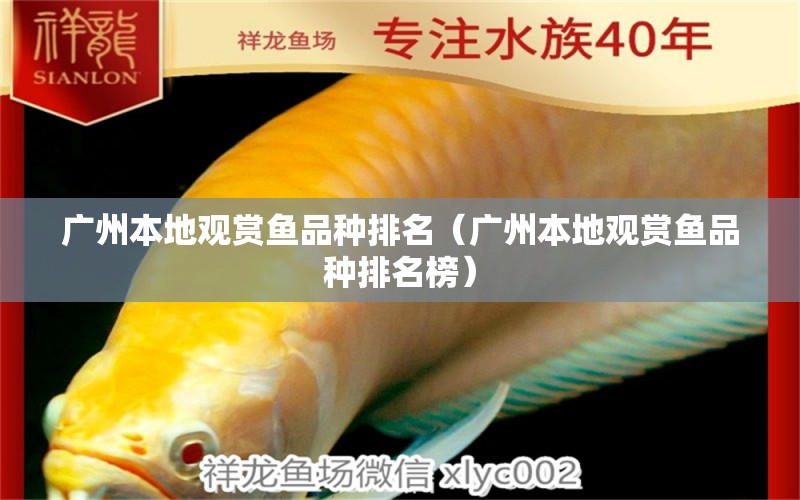 廣州本地觀賞魚品種排名（廣州本地觀賞魚品種排名榜） 祥龍水族醫(yī)院