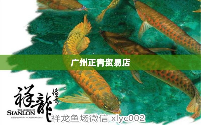 廣州正青貿(mào)易店 全國水族館企業(yè)名錄