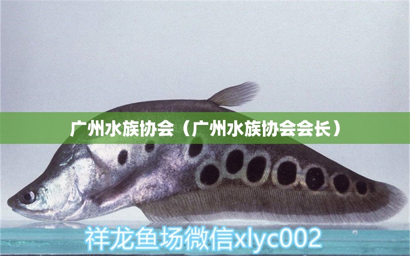 廣州水族協(xié)會(huì)（廣州水族協(xié)會(huì)會(huì)長(zhǎng)）