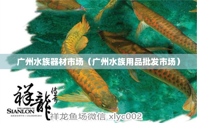 廣州水族器材市場（廣州水族用品批發(fā)市場）