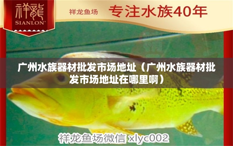 廣州水族器材批發(fā)市場(chǎng)地址（廣州水族器材批發(fā)市場(chǎng)地址在哪里?。? title=