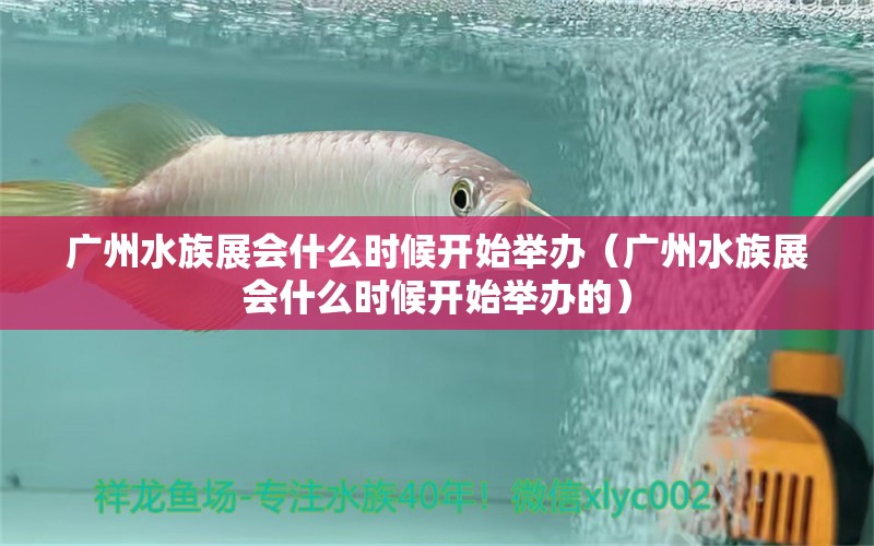 廣州水族展會(huì)什么時(shí)候開始舉辦（廣州水族展會(huì)什么時(shí)候開始舉辦的）