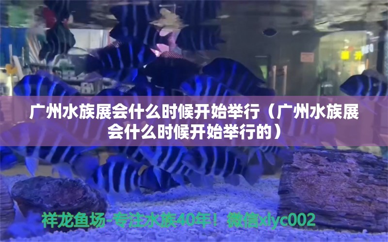 廣州水族展會(huì)什么時(shí)候開始舉行（廣州水族展會(huì)什么時(shí)候開始舉行的）