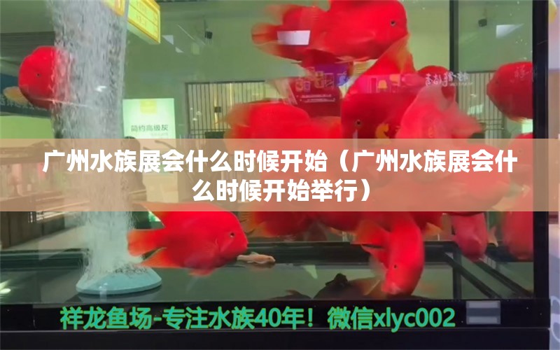 廣州水族展會(huì)什么時(shí)候開始（廣州水族展會(huì)什么時(shí)候開始舉行）