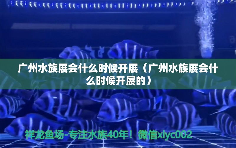 廣州水族展會(huì)什么時(shí)候開展（廣州水族展會(huì)什么時(shí)候開展的）