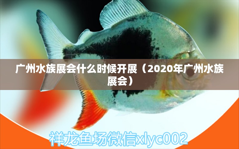 廣州水族展會(huì)什么時(shí)候開展（2020年廣州水族展會(huì)） 水族展會(huì)