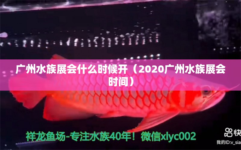 廣州水族展會(huì)什么時(shí)候開(kāi)（2020廣州水族展會(huì)時(shí)間）