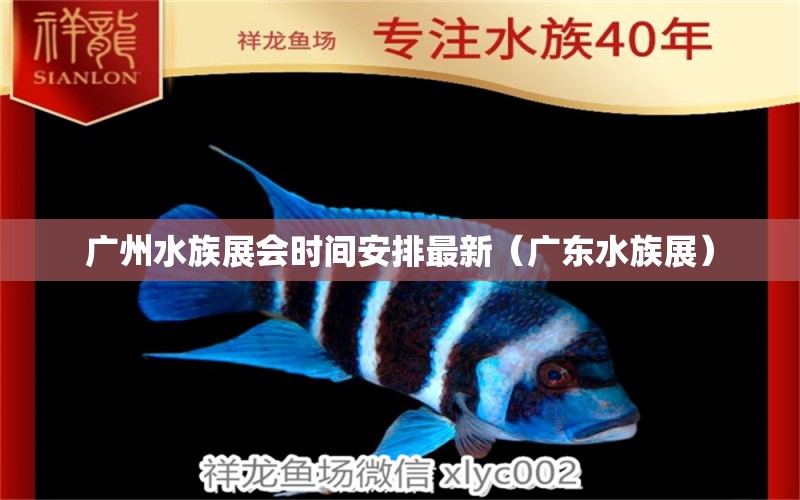 廣州水族展會(huì)時(shí)間安排最新（廣東水族展） 水族展會(huì)