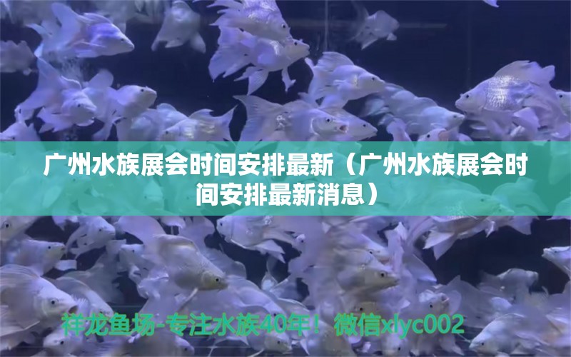 廣州水族展會(huì)時(shí)間安排最新（廣州水族展會(huì)時(shí)間安排最新消息）