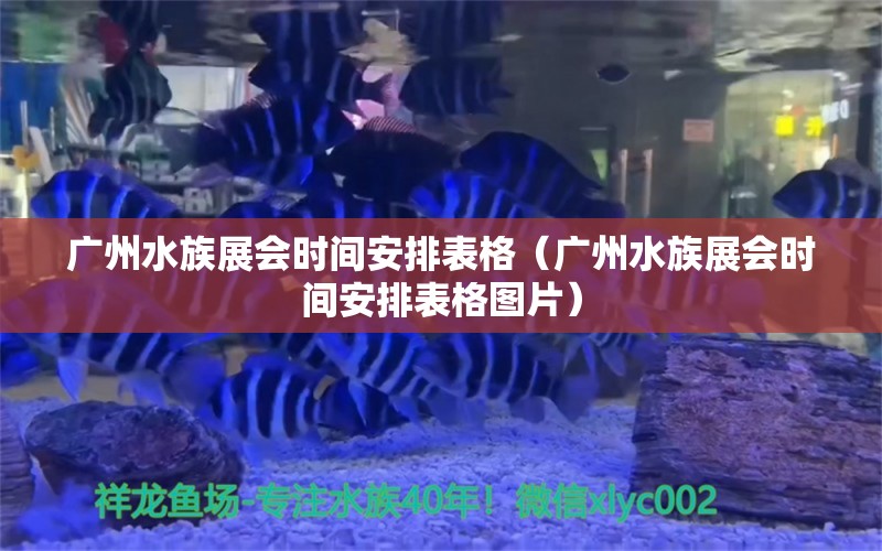 廣州水族展會時間安排表格（廣州水族展會時間安排表格圖片）