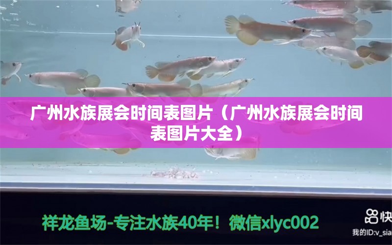 廣州水族展會(huì)時(shí)間表圖片（廣州水族展會(huì)時(shí)間表圖片大全）