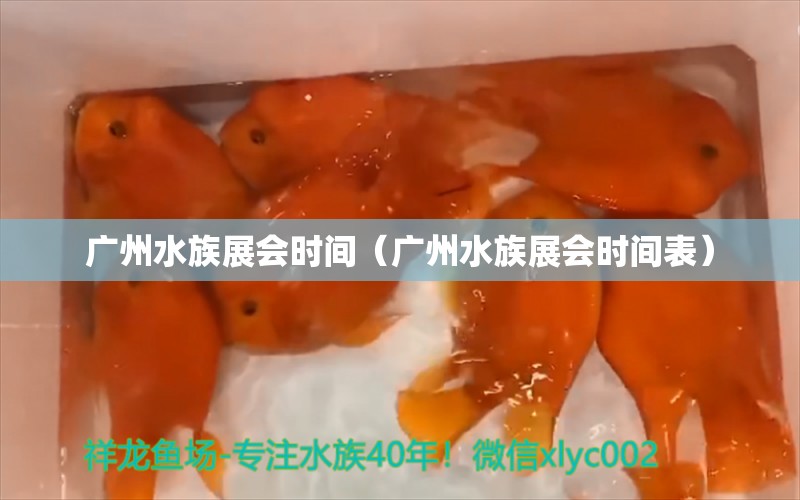 廣州水族展會(huì)時(shí)間（廣州水族展會(huì)時(shí)間表）