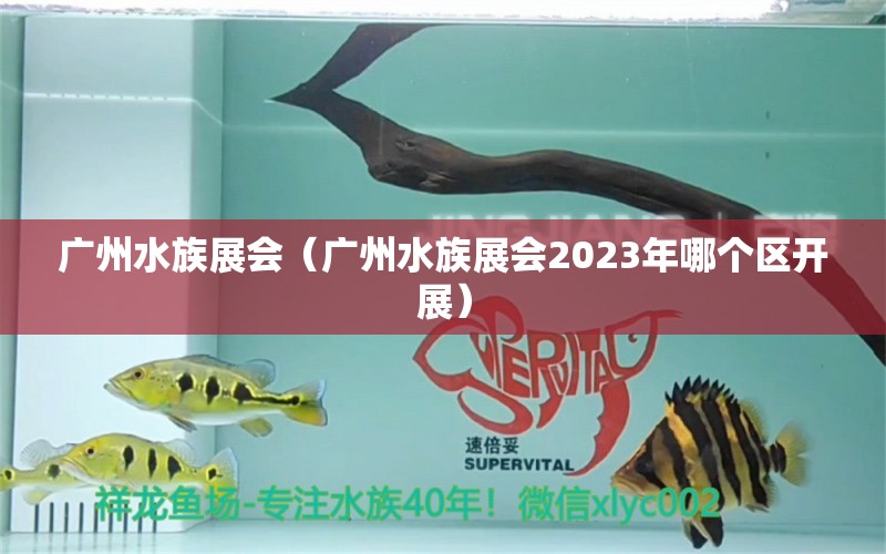 廣州水族展會(huì)（廣州水族展會(huì)2023年哪個(gè)區(qū)開展）