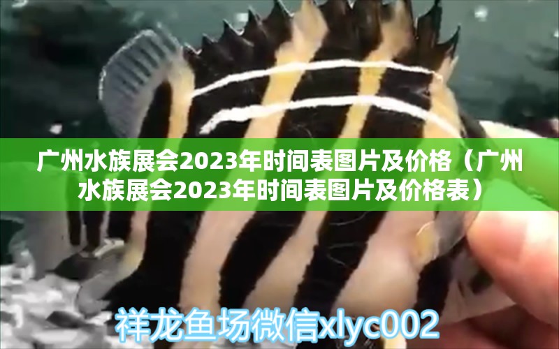 廣州水族展會(huì)2023年時(shí)間表圖片及價(jià)格（廣州水族展會(huì)2023年時(shí)間表圖片及價(jià)格表）