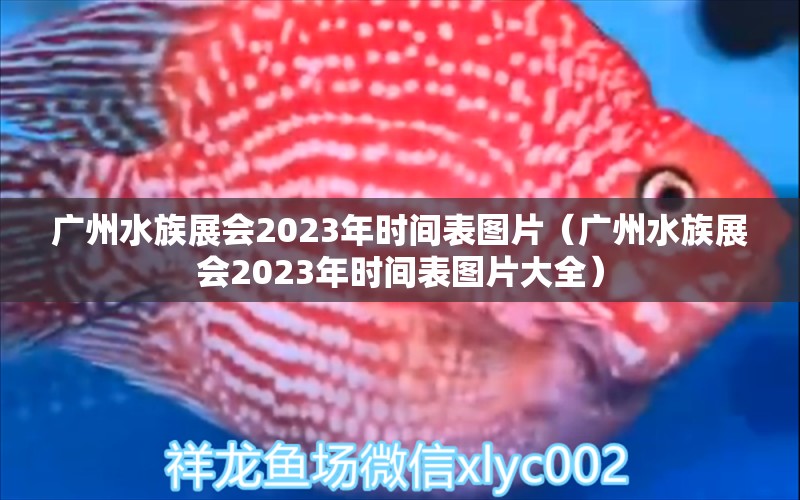 廣州水族展會(huì)2023年時(shí)間表圖片（廣州水族展會(huì)2023年時(shí)間表圖片大全）