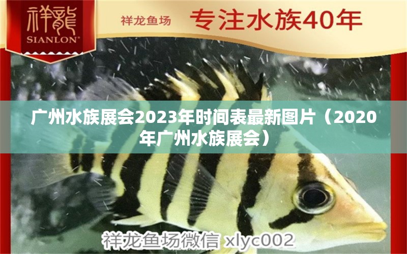 廣州水族展會2023年時間表最新圖片（2020年廣州水族展會）