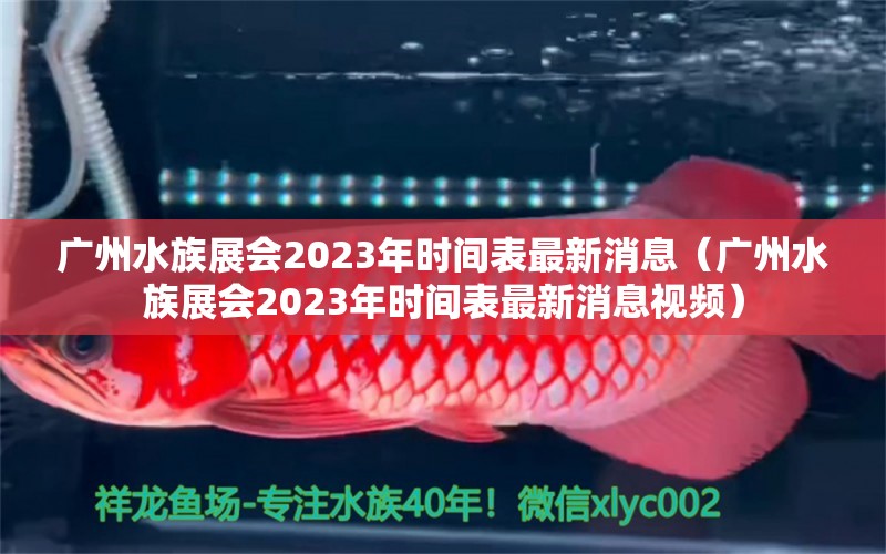 廣州水族展會(huì)2023年時(shí)間表最新消息（廣州水族展會(huì)2023年時(shí)間表最新消息視頻）