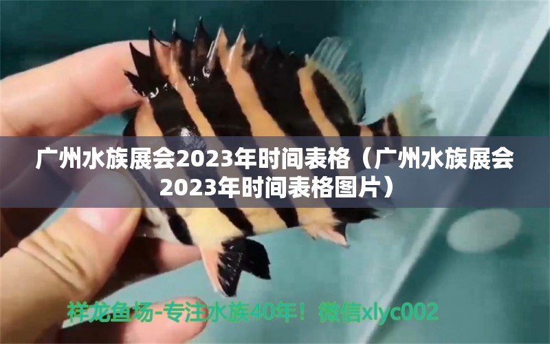 廣州水族展會2023年時間表格（廣州水族展會2023年時間表格圖片） 水族展會