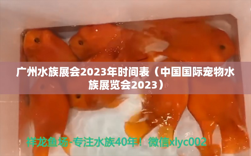 廣州水族展會(huì)2023年時(shí)間表（中國(guó)國(guó)際寵物水族展覽會(huì)2023）