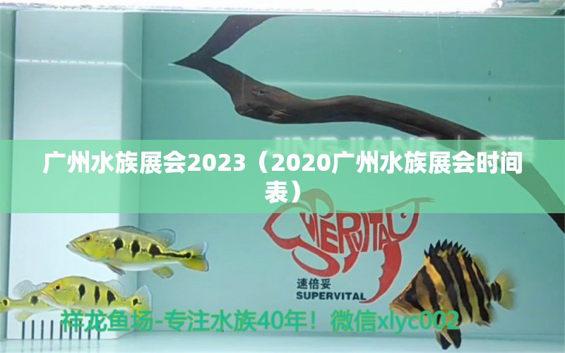 廣州水族展會2023（2020廣州水族展會時間表）