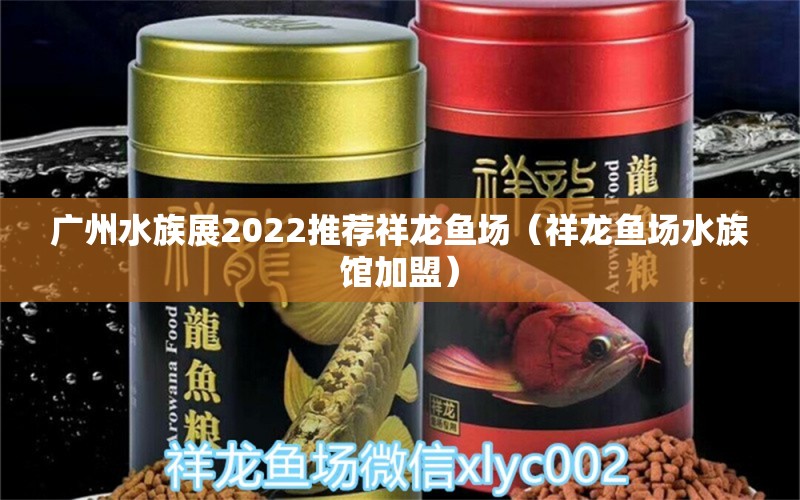 廣州水族展2022推薦祥龍魚場(chǎng)（祥龍魚場(chǎng)水族館加盟） 水族展會(huì)