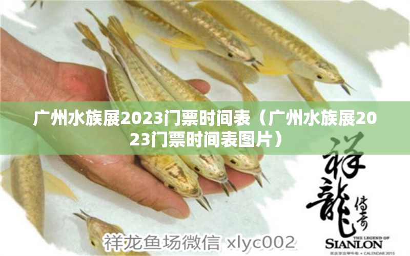 廣州水族展2023門票時(shí)間表（廣州水族展2023門票時(shí)間表圖片）