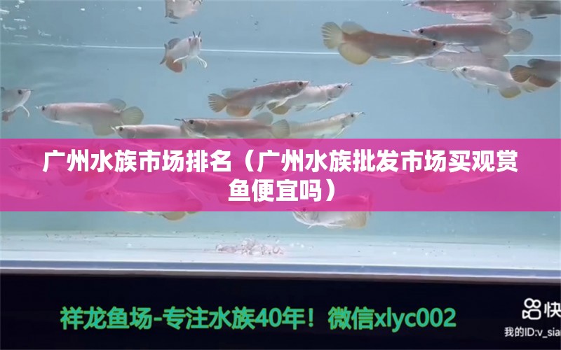 廣州水族市場排名（廣州水族批發(fā)市場買觀賞魚便宜嗎）