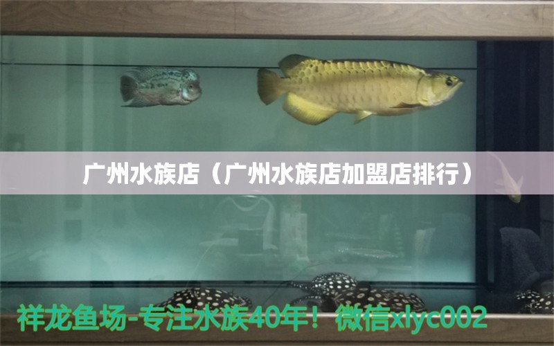 廣州水族店（廣州水族店加盟店排行） 觀賞魚市場