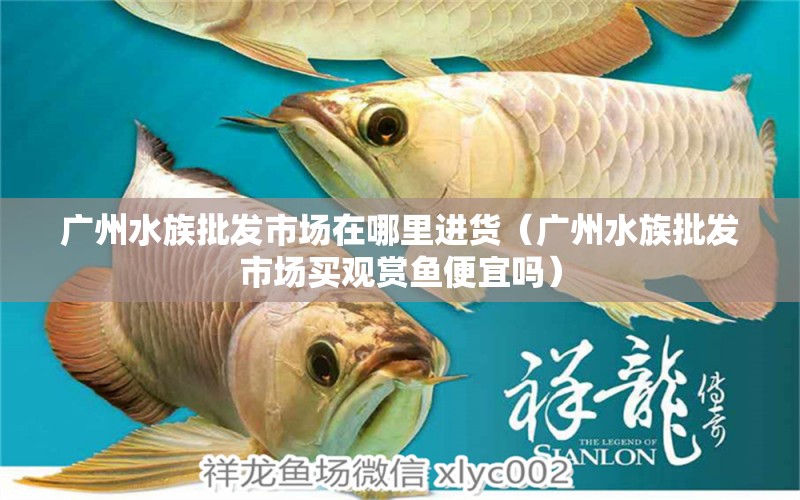 廣州水族批發(fā)市場在哪里進(jìn)貨（廣州水族批發(fā)市場買觀賞魚便宜嗎）