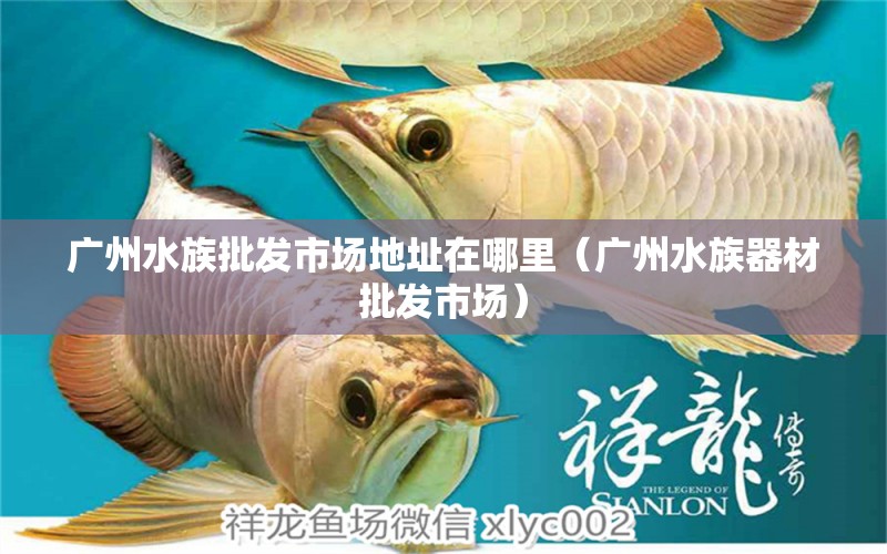 廣州水族批發(fā)市場地址在哪里（廣州水族器材批發(fā)市場）