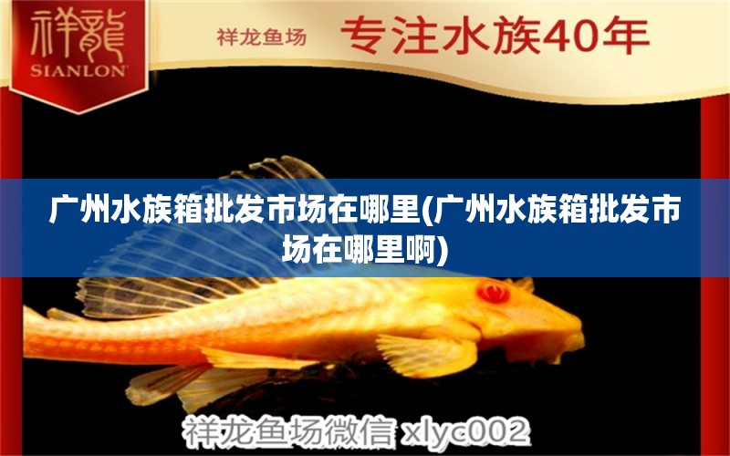 廣州水族箱批發(fā)市場(chǎng)在哪里(廣州水族箱批發(fā)市場(chǎng)在哪里啊) 魚缸/水族箱