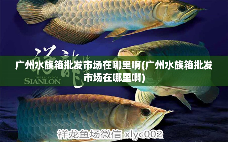 廣州水族箱批發(fā)市場在哪里啊(廣州水族箱批發(fā)市場在哪里啊) 魚缸/水族箱