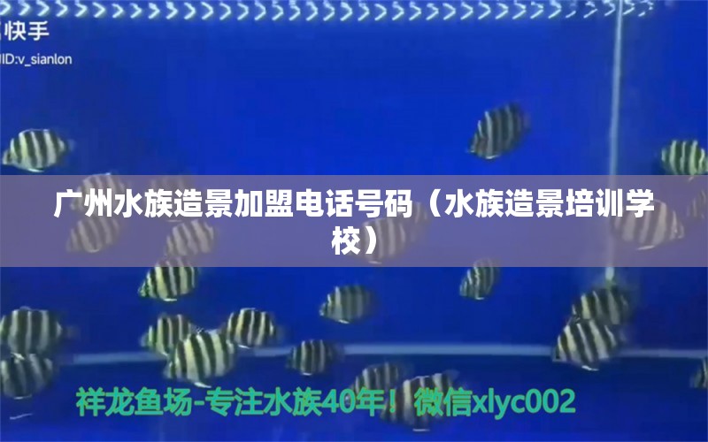 廣州水族造景加盟電話號(hào)碼（水族造景培訓(xùn)學(xué)校）