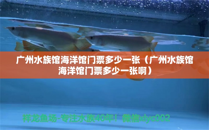 廣州水族館海洋館門票多少一張（廣州水族館海洋館門票多少一張?。?廣州水族批發(fā)市場