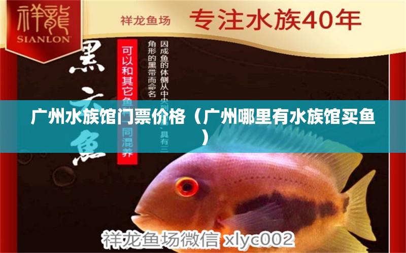 廣州水族館門票價格（廣州哪里有水族館買魚）