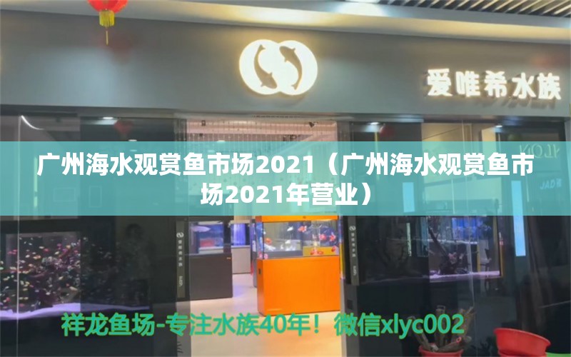 廣州海水觀賞魚市場(chǎng)2021（廣州海水觀賞魚市場(chǎng)2021年?duì)I業(yè)）