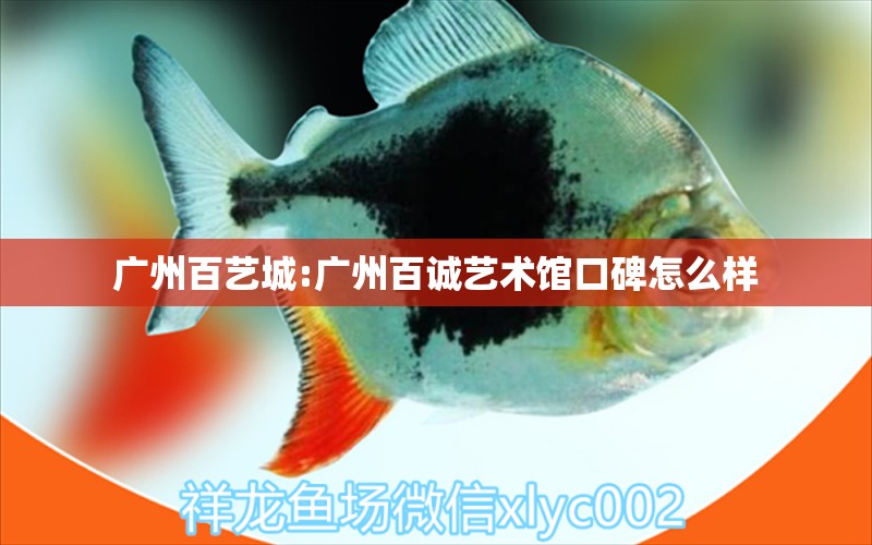 廣州百藝城:廣州百誠藝術(shù)館口碑怎么樣 水族品牌