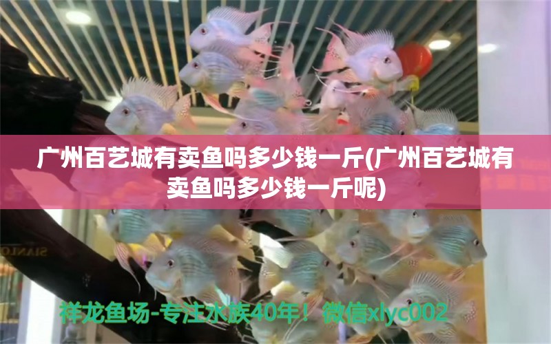 廣州百藝城有賣魚嗎多少錢一斤(廣州百藝城有賣魚嗎多少錢一斤呢) 南美異型魚