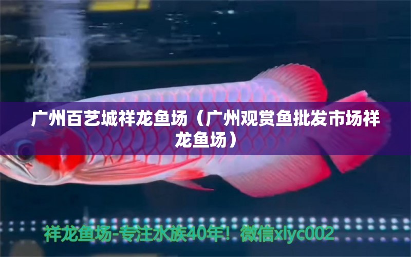 廣州百藝城祥龍魚(yú)場(chǎng)（廣州觀賞魚(yú)批發(fā)市場(chǎng)祥龍魚(yú)場(chǎng)）