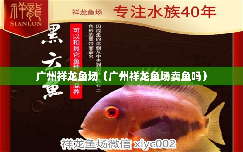 廣州祥龍魚場（廣州祥龍魚場賣魚嗎）