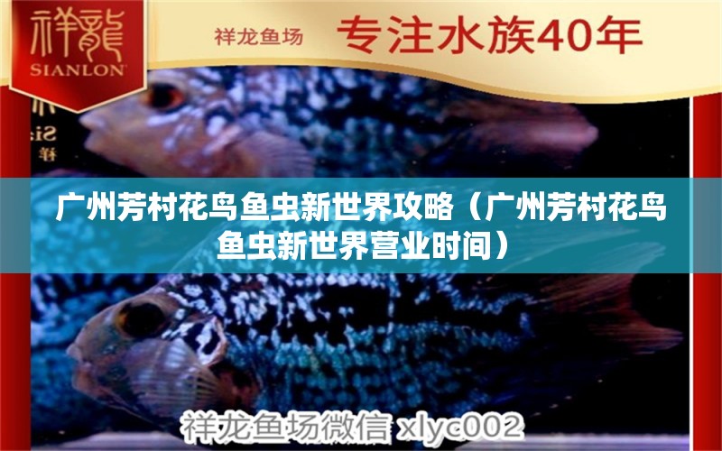 廣州芳村花鳥魚蟲新世界攻略（廣州芳村花鳥魚蟲新世界營(yíng)業(yè)時(shí)間）