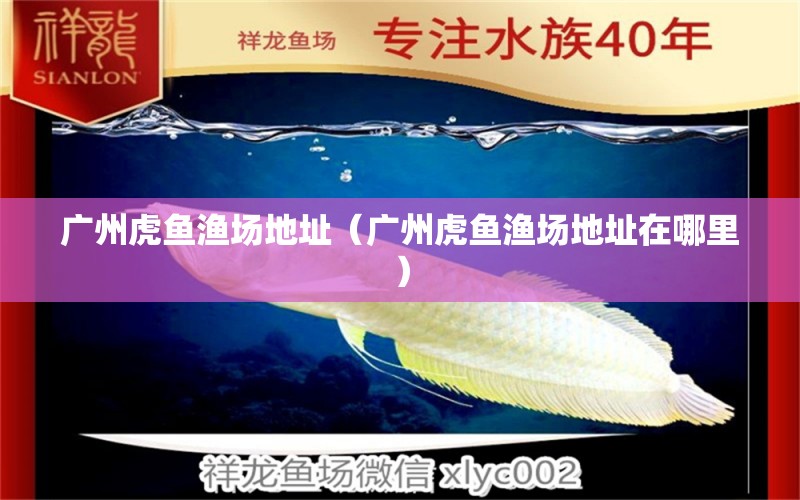 廣州虎魚(yú)漁場(chǎng)地址（廣州虎魚(yú)漁場(chǎng)地址在哪里） 海水魚(yú)