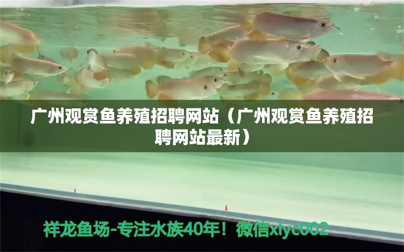 廣州觀賞魚養(yǎng)殖招聘網站（廣州觀賞魚養(yǎng)殖招聘網站最新）