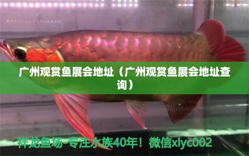 廣州觀賞魚展會地址（廣州觀賞魚展會地址查詢）