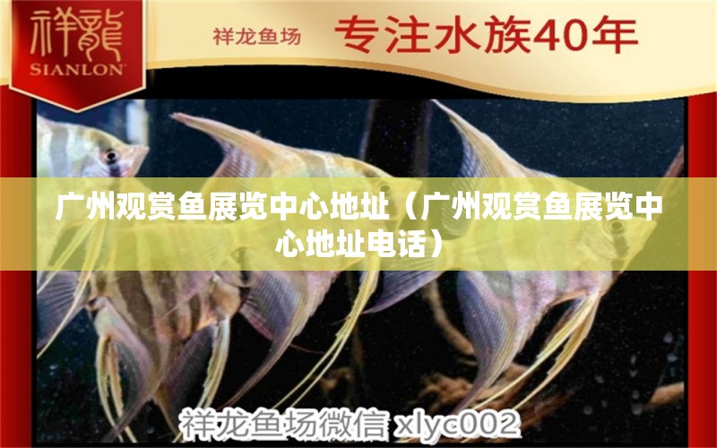 廣州觀賞魚展覽中心地址（廣州觀賞魚展覽中心地址電話） 廣州水族批發(fā)市場