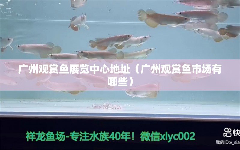 廣州觀賞魚展覽中心地址（廣州觀賞魚市場有哪些）